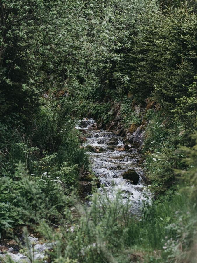 Vaya Achensee Inklusive Achenseecard Achenkirch Eksteriør billede